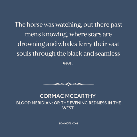 A quote by Cormac McCarthy: “The horse was watching, out there past men's knowing, where stars are drowning and…”