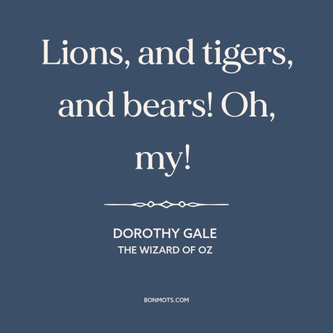 A quote from The Wizard of OZ about facing one's fears: “Lions, and tigers, and bears! Oh, my!”