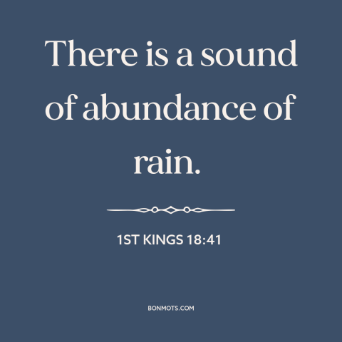 A quote from The Bible about rain: “There is a sound of abundance of rain.”