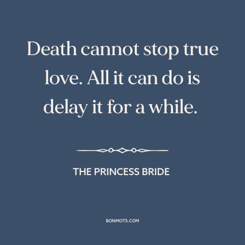 A quote from The Princess Bride about true love: “Death cannot stop true love. All it can do is delay it for a…”