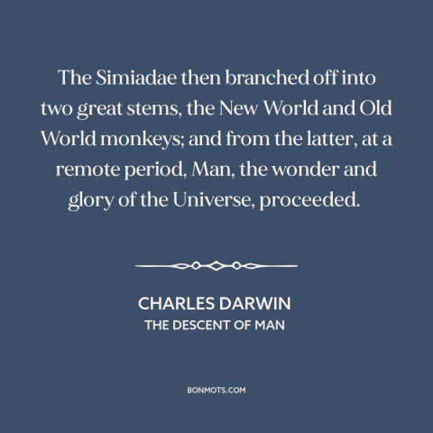 A quote by Charles Darwin about human origins: “The Simiadae then branched off into two great stems, the New World and Old…”