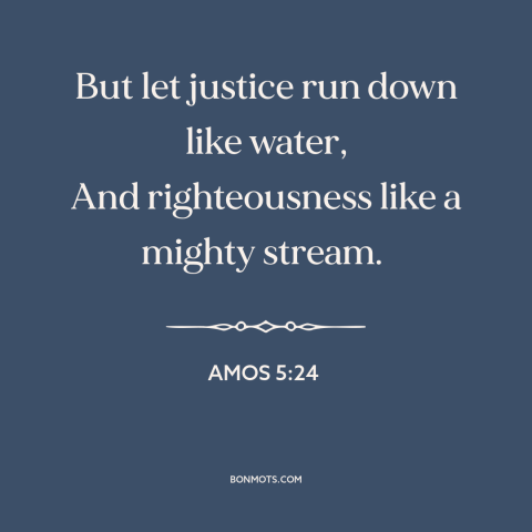 A quote from The Bible about justice: “But let justice run down like water, And righteousness like a mighty stream.”