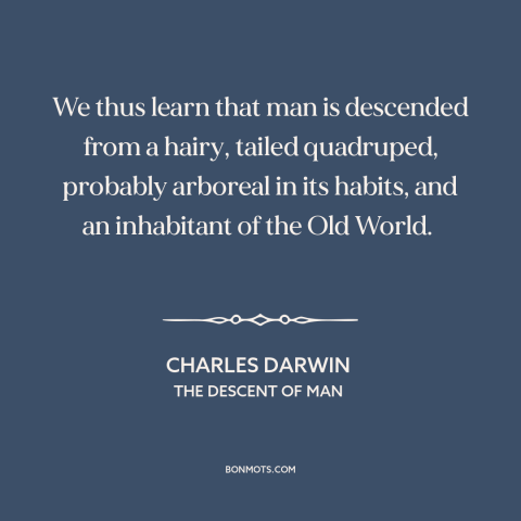 A quote by Charles Darwin about human origins: “We thus learn that man is descended from a hairy, tailed quadruped…”