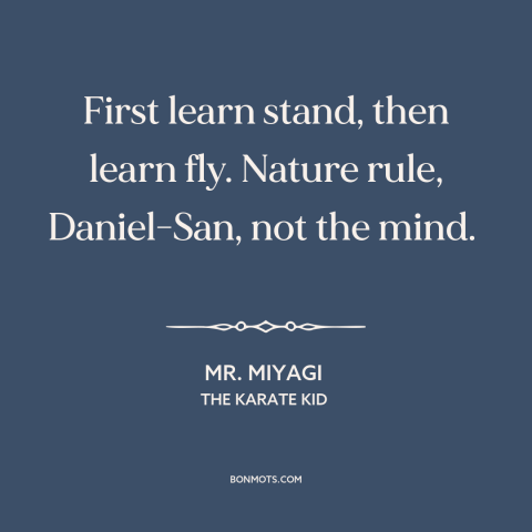 A quote from The Karate Kid about baby steps: “First learn stand, then learn fly. Nature rule, Daniel-San, not the mind.”