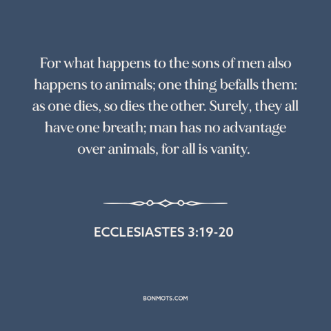 A quote from The Bible about man and animals: “For what happens to the sons of men also happens to animals; one thing…”