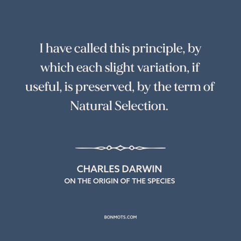 A quote by Charles Darwin about natural selection: “I have called this principle, by which each slight variation…”