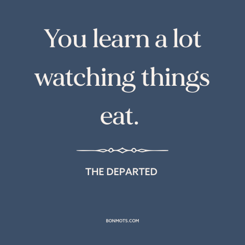 A quote from The Departed about observation: “You learn a lot watching things eat.”