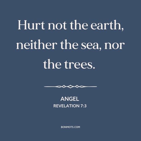 A quote from The Bible about conservation: “Hurt not the earth, neither the sea, nor the trees.”