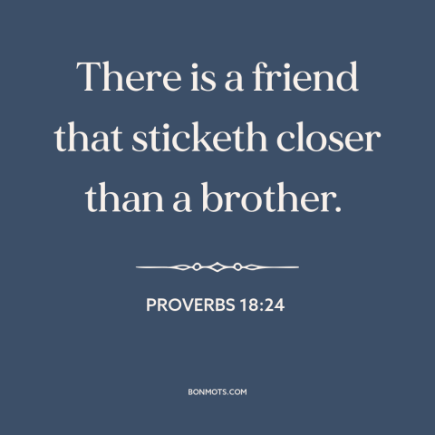 A quote from The Bible about friendship: “There is a friend that sticketh closer than a brother.”