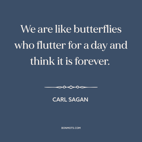 A quote by Carl Sagan about ephemeral nature of life: “We are like butterflies who flutter for a day and think it is…”