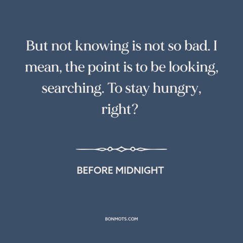 A quote from Before Midnight about uncertainty: “But not knowing is not so bad. I mean, the point is to be looking…”