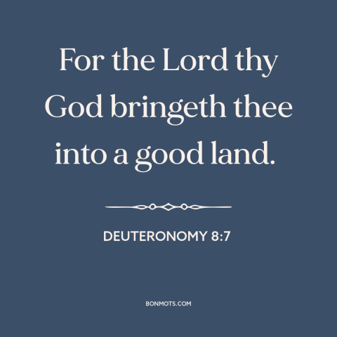 A quote from The Bible about israel: “For the Lord thy God bringeth thee into a good land.”