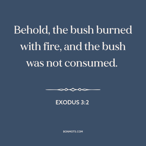 A quote from The Bible about biblical miracles: “Behold, the bush burned with fire, and the bush was not consumed.”