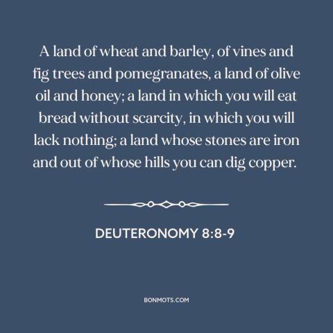 A quote from The Bible about israel: “A land of wheat and barley, of vines and fig trees and pomegranates, a…”