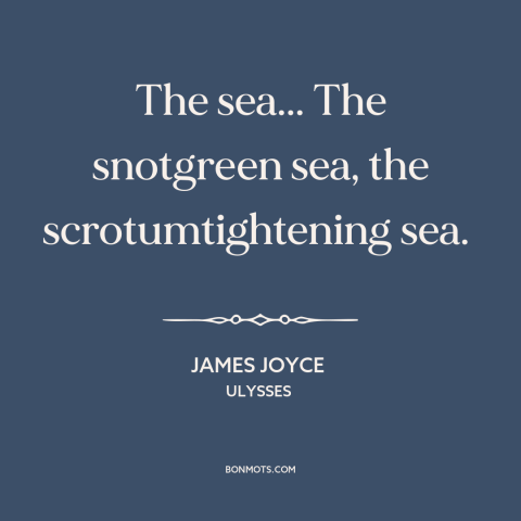 A quote by James Joyce about ocean and sea: “The sea... The snotgreen sea, the scrotumtightening sea.”