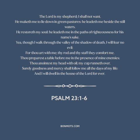 A quote from The Bible about god's protection: “The Lord is my shepherd; I shall not want. He maketh me to lie…”