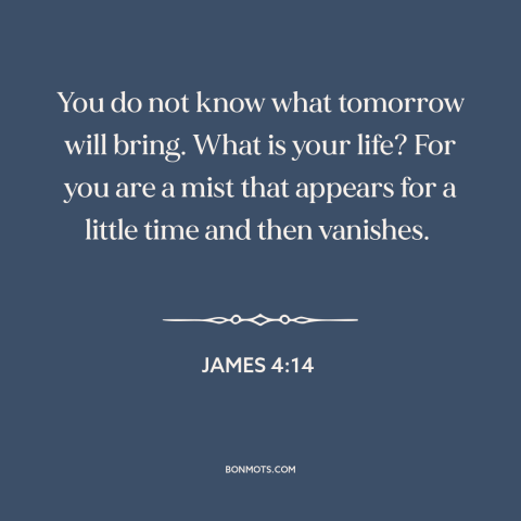 A quote from The Bible about ephemeral nature of life: “You do not know what tomorrow will bring. What is your life? For…”