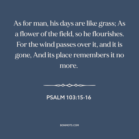 A quote from The Bible about ephemeral nature of life: “As for man, his days are like grass; As a flower of the field…”