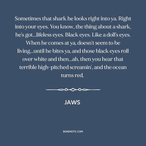 A quote from Jaws about shark attacks: “Sometimes that shark he looks right into ya. Right into your eyes. You know…”