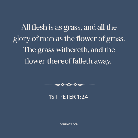 A quote from The Bible about sic transit gloria mundi: “All flesh is as grass, and all the glory of man as the flower…”