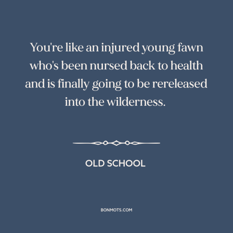 A quote from Old School about getting back out there: “You're like an injured young fawn who's been nursed back to health…”