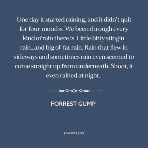 A quote from Forrest Gump about rain: “One day it started raining, and it didn’t quit for four months. We been…”