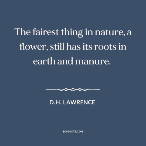 A quote by D.H. Lawrence about flowers: “The fairest thing in nature, a flower, still has its roots in earth and…”