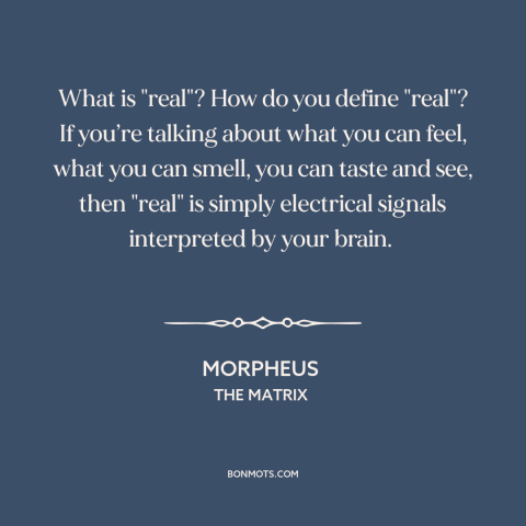 A quote from The Matrix about nature of reality: “What is "real"? How do you define "real"? If you’re talking about what…”