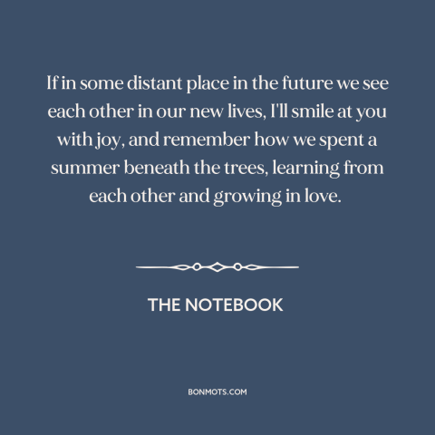 A quote from The Notebook about summer love: “If in some distant place in the future we see each other in our…”