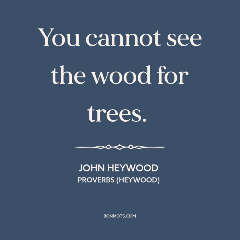 A quote by John Heywood about perspective: “You cannot see the wood for trees.”