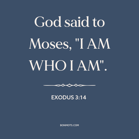 A quote from The Bible about nature of god: “God said to Moses, "I AM WHO I AM".”