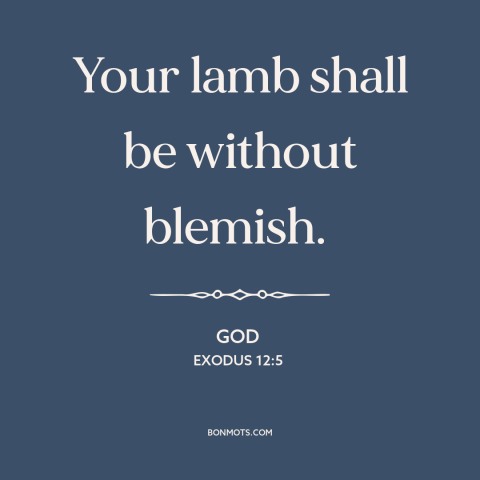 A quote from The Bible about sacrificial lamb: “Your lamb shall be without blemish.”