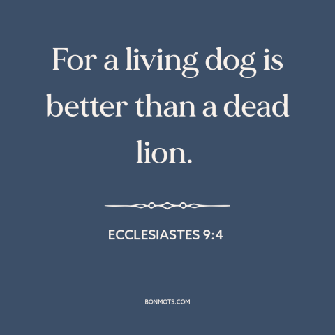 A quote from The Bible about life and death: “For a living dog is better than a dead lion.”