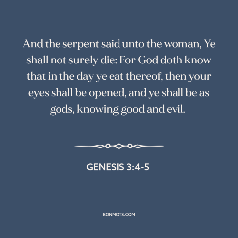 A quote from The Bible about eye opening experience: “And the serpent said unto the woman, Ye shall not surely die: For God…”