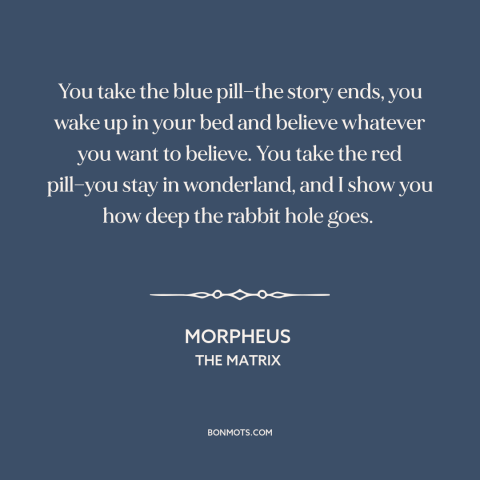 A quote from The Matrix about ignorance is bliss: “You take the blue pill—the story ends, you wake up in your bed and…”