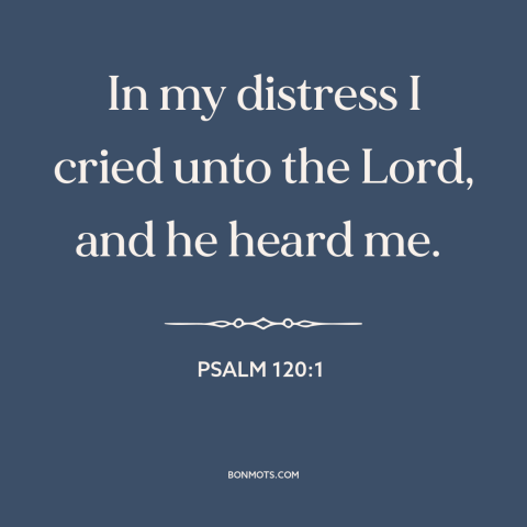 A quote from The Bible about god's comfort: “In my distress I cried unto the Lord, and he heard me.”