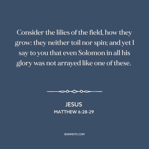 A quote by Jesus about worry: “Consider the lilies of the field, how they grow: they neither toil nor spin;…”