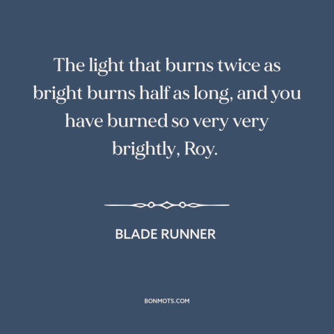 A quote from Blade Runner about living life to the fullest: “The light that burns twice as bright burns half as long…”