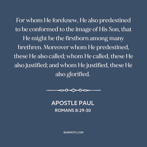 A quote by Apostle Paul about predestination: “For whom He foreknew, He also predestined to be conformed to the image of…”