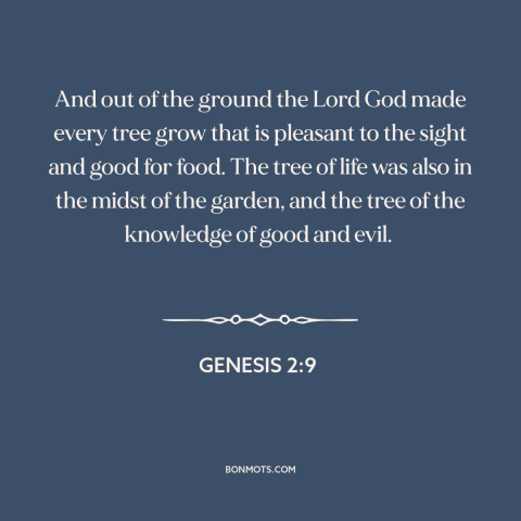 A quote from Genesis about trees: “And out of the ground the Lord God made every tree grow that is pleasant to the sight…”