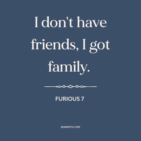 A quote from Furious 7 about friends and family: “I don't have friends, I got family.”