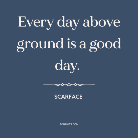 A quote from Scarface about life: “Every day above ground is a good day.”