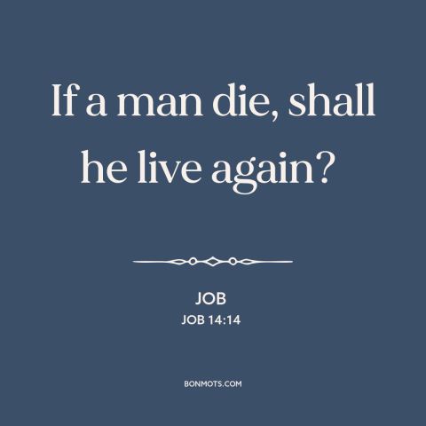 A quote from The Bible about death: “If a man die, shall he live again?”