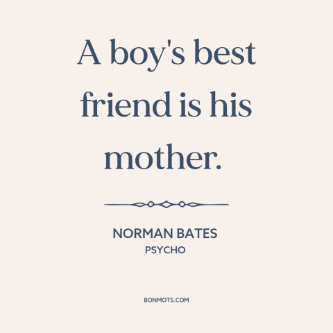 A quote from Psycho about mothers and sons: “A boy's best friend is his mother.”