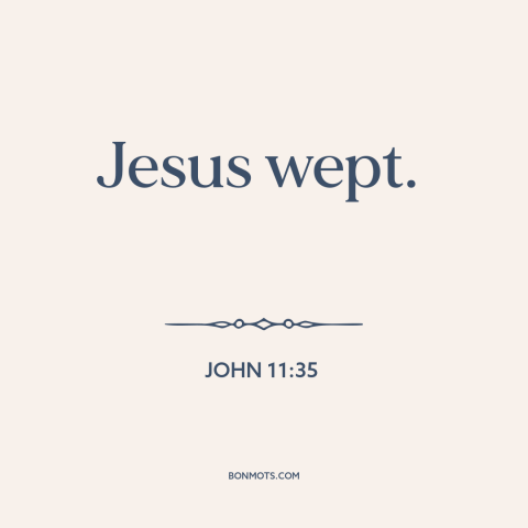 A quote from The Bible about crying: “Jesus wept.”