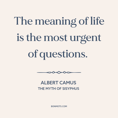 A quote by Albert Camus about meaning of life: “The meaning of life is the most urgent of questions.”