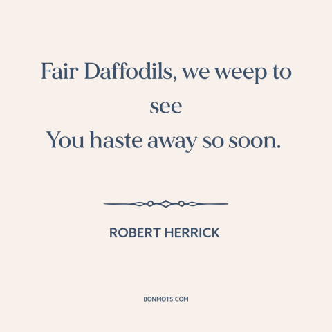 A quote by Robert Herrick about flowers: “Fair Daffodils, we weep to see You haste away so soon.”