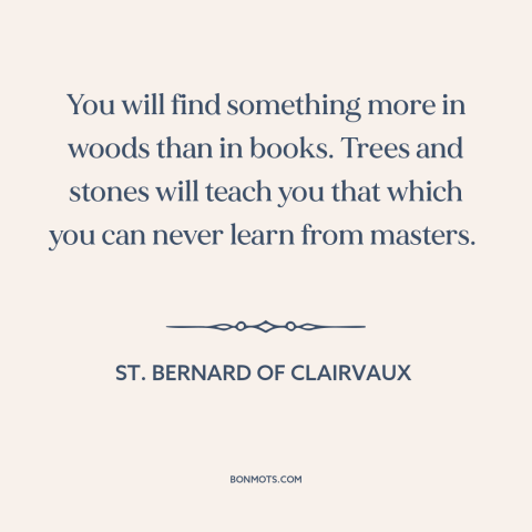 A quote by St. Bernard of Clairvaux about spending time in nature: “You will find something more in woods than in books.”