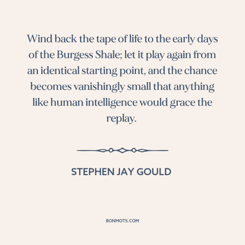 A quote by Stephen Jay Gould about intelligent life: “Wind back the tape of life to the early days of the Burgess Shale;…”