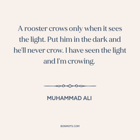 A quote by Muhammad Ali about ignorance: “A rooster crows only when it sees the light. Put him in the dark and…”